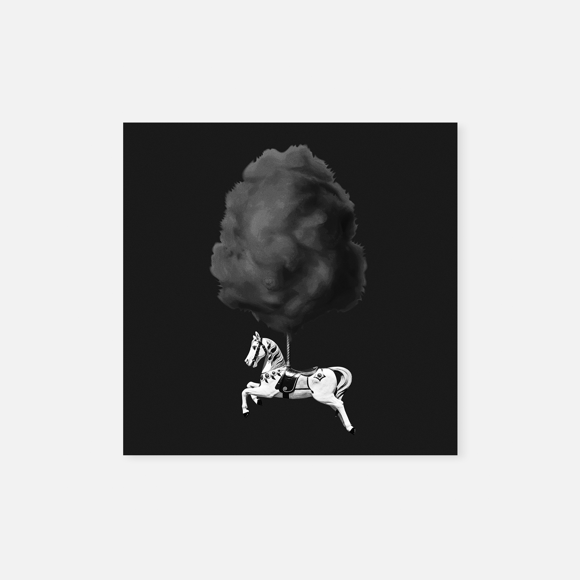 Candyfloss Horse BW