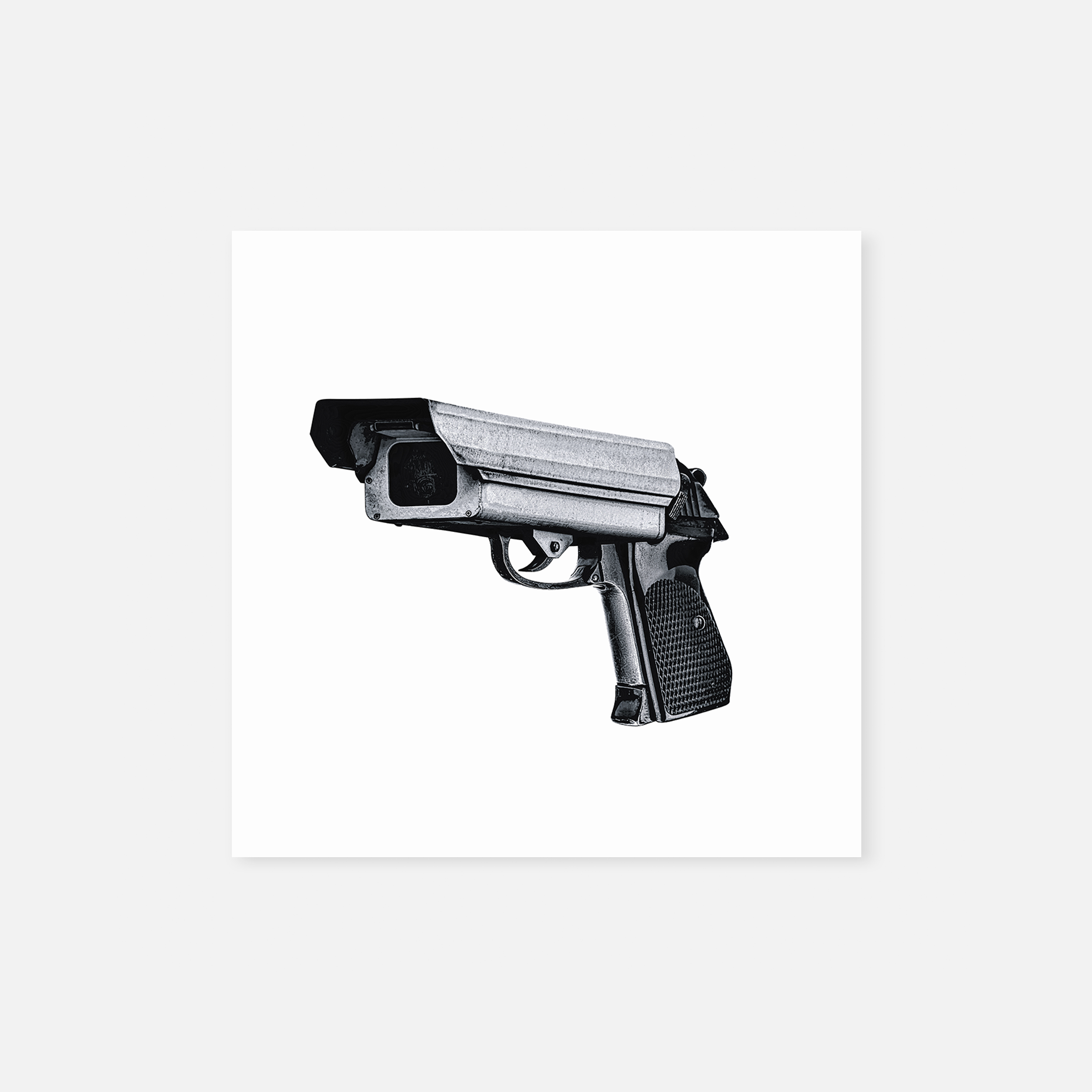 The Gunvernment