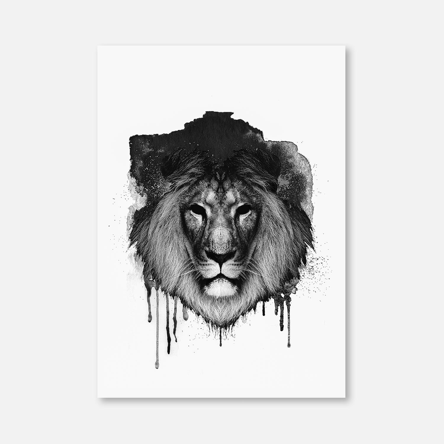 King III