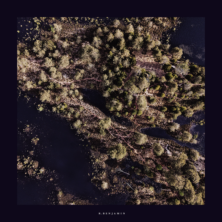 The Landscape